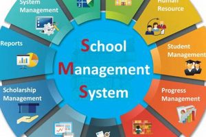 Top Project Management Schools: 2024 Guide | Best Schools in America: Top Public & Private Options