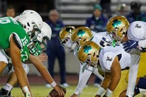 Texas 4A High School Football: A Complete Guide | Best Schools in America: Top Public & Private Options