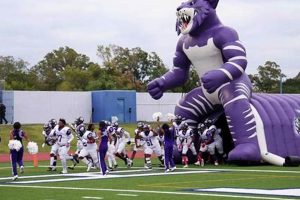 Top Wheatley High School Football Plays & Highlights Best Schools in America: Top Public & Private Options Top Wheatley High School Football Plays & Highlights | Best Schools in America: Top Public & Private Options
