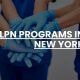 Top LPN Schools in New York: 2024 Guide | Best Schools in America: Top Public & Private Options