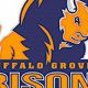 BGHS Bison Football: 2023 Schedule & Tickets | Best Schools in America: Top Public & Private Options