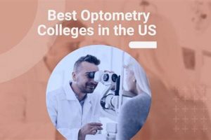 Top Ranked Best Optometry Schools: 2024 Guide | Best Schools in America: Top Public & Private Options
