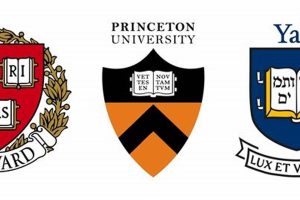 Top Best Ivy League Law Schools: Guide Best Schools in America: Top Public & Private Options Top Best Ivy League Law Schools: Guide | Best Schools in America: Top Public & Private Options