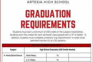 Colorado High School Graduation Requirements: Guide for 2024 | Best Schools in America: Top Public & Private Options