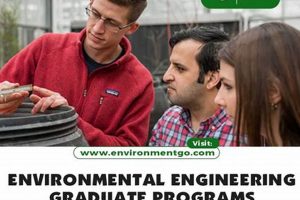 Top 10 Best Graduate Schools for Environmental Studies Programs Best Schools in America: Top Public & Private Options Top 10 Best Graduate Schools for Environmental Studies Programs | Best Schools in America: Top Public & Private Options