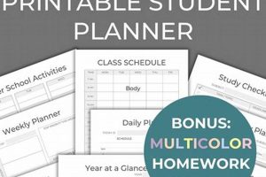 Top Middle School Student Planners for 2024 | Best Schools in America: Top Public & Private Options