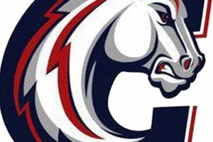 Choctaw County HS Football: Home of the Wildcats | Best Schools in America: Top Public & Private Options