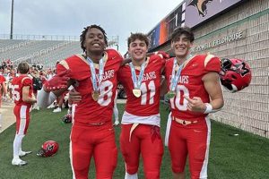 Go Cardinal Mooney Cougars Football! | Best Schools in America: Top Public & Private Options