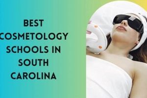 Top Cosmetology Schools in South Carolina 2024 | Best Schools in America: Top Public & Private Options