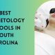 Top Cosmetology Schools in South Carolina 2024 | Best Schools in America: Top Public & Private Options