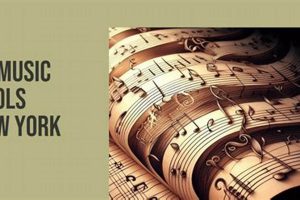 Top Music Schools in New York City: 2024 Guide | Best Schools in America: Top Public & Private Options