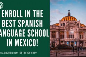 Top Spanish Schools in Mexico: 2024 Guide | Best Schools in America: Top Public & Private Options