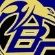 Go Dolphins! Battery Creek High School Football News | Best Schools in America: Top Public & Private Options