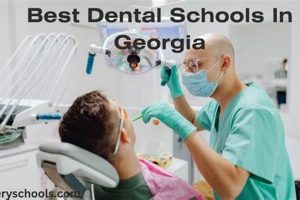 Best Dental Schools In Georgia | Best Schools in America: Top Public & Private Options
