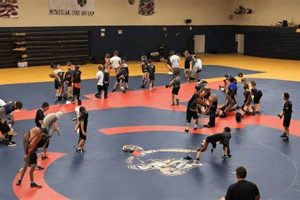 Top 5 Best Wrestling Schools in the USA 2024 Best Schools in America: Top Public & Private Options Top 5 Best Wrestling Schools in the USA 2024 | Best Schools in America: Top Public & Private Options