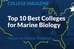 Top 10 Best Graduate Schools for Marine Biology Programs Best Schools in America: Top Public & Private Options Top 10 Best Graduate Schools for Marine Biology Programs | Best Schools in America: Top Public & Private Options