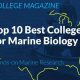 Top 10 Best Graduate Schools for Marine Biology Programs | Best Schools in America: Top Public & Private Options