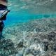 Top 10 Best Oceanography Schools & Programs | Best Schools in America: Top Public & Private Options