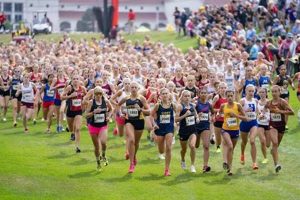 Top MN High School Cross Country Rankings 2024 | Best Schools in America: Top Public & Private Options