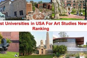 Top US Art Universities: 2024 Rankings | Best Schools in America: Top Public & Private Options