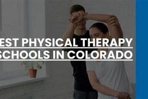 Top Physical Therapy Schools in Colorado: 2024 Guide | Best Schools in America: Top Public & Private Options