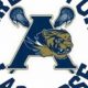 Arlington NY High School Lacrosse: Team Overview & Schedule | Best Schools in America: Top Public & Private Options