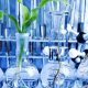 Top Best Schools for Plant Biology Programs | Best Schools in America: Top Public & Private Options