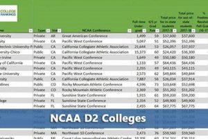 Top Academic D2 Schools: A 2024 Guide | Best Schools in America: Top Public & Private Options