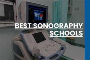 Top Sonography Schools in Houston, TX | Best Schools in America: Top Public & Private Options