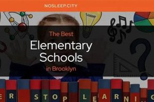 2023's Top 10 Brooklyn Middle Schools: A Guide | Best Schools in America: Top Public & Private Options