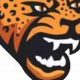 Jacksonville HS Football: Red Devil Pride | Best Schools in America: Top Public & Private Options