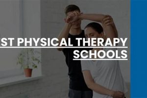 Top SUNY Schools for Physical Therapy Programs | Best Schools in America: Top Public & Private Options