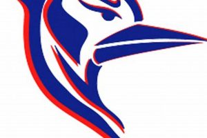 Holbrook High Basketball: School Team & More | Best Schools in America: Top Public & Private Options