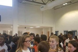 Top-Rated Luella Middle School: A Guide | Best Schools in America: Top Public & Private Options