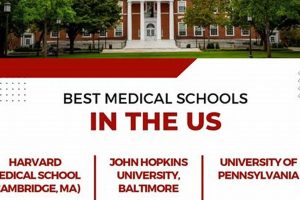 Top Medical Schools in NC: 2024 Ranking | Best Schools in America: Top Public & Private Options