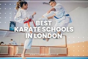Find the Best Karate Schools Near You Best Schools in America: Top Public & Private Options Find the Best Karate Schools Near You | Best Schools in America: Top Public & Private Options