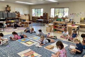 Top Montessori Schools in America: A Guide | Best Schools in America: Top Public & Private Options