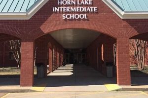 Best Horn Lake Middle School: Info & More Best Schools in America: Top Public & Private Options Best Horn Lake Middle School: Info & More | Best Schools in America: Top Public & Private Options