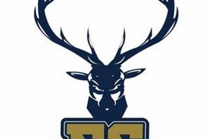 Top Elk Grove High School Football Prospects | Best Schools in America: Top Public & Private Options