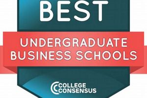 Best Undergrad Cs Schools | Best Schools in America: Top Public & Private Options