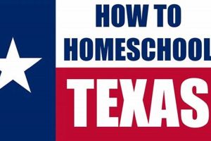 Find the Best Home School Programs in Texas | Best Schools in America: Top Public & Private Options