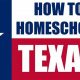 Find the Best Home School Programs in Texas | Best Schools in America: Top Public & Private Options