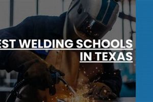 Top 5 Welding Schools in Texas: 2024 Guide | Best Schools in America: Top Public & Private Options