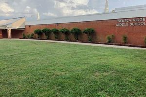 Best Seneca Ridge Middle School: A Parent's Guide Best Schools in America: Top Public & Private Options Best Seneca Ridge Middle School: A Parent's Guide | Best Schools in America: Top Public & Private Options