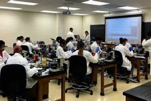 Top Best Schools for Microbiology Programs 2024 | Best Schools in America: Top Public & Private Options