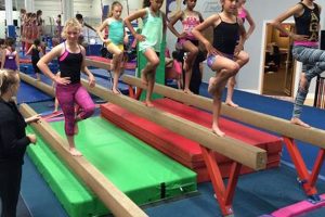 Top USA Gymnastics Schools &amp; Training Centers | Best Schools in America: Top Public & Private Options