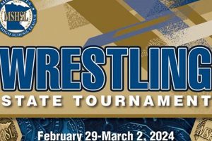 2024 MN State High School Wrestling Championship | Best Schools in America: Top Public & Private Options