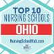 Top Nursing Schools in Ohio: 2024 Guide | Best Schools in America: Top Public & Private Options