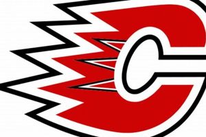 Centennial High School Hockey | Best Schools in America: Top Public & Private Options