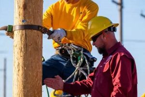 Top Lineman Schools in California: 2024 Guide | Best Schools in America: Top Public & Private Options
